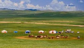 The Mongolia Society