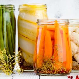Fermenting with Quisa